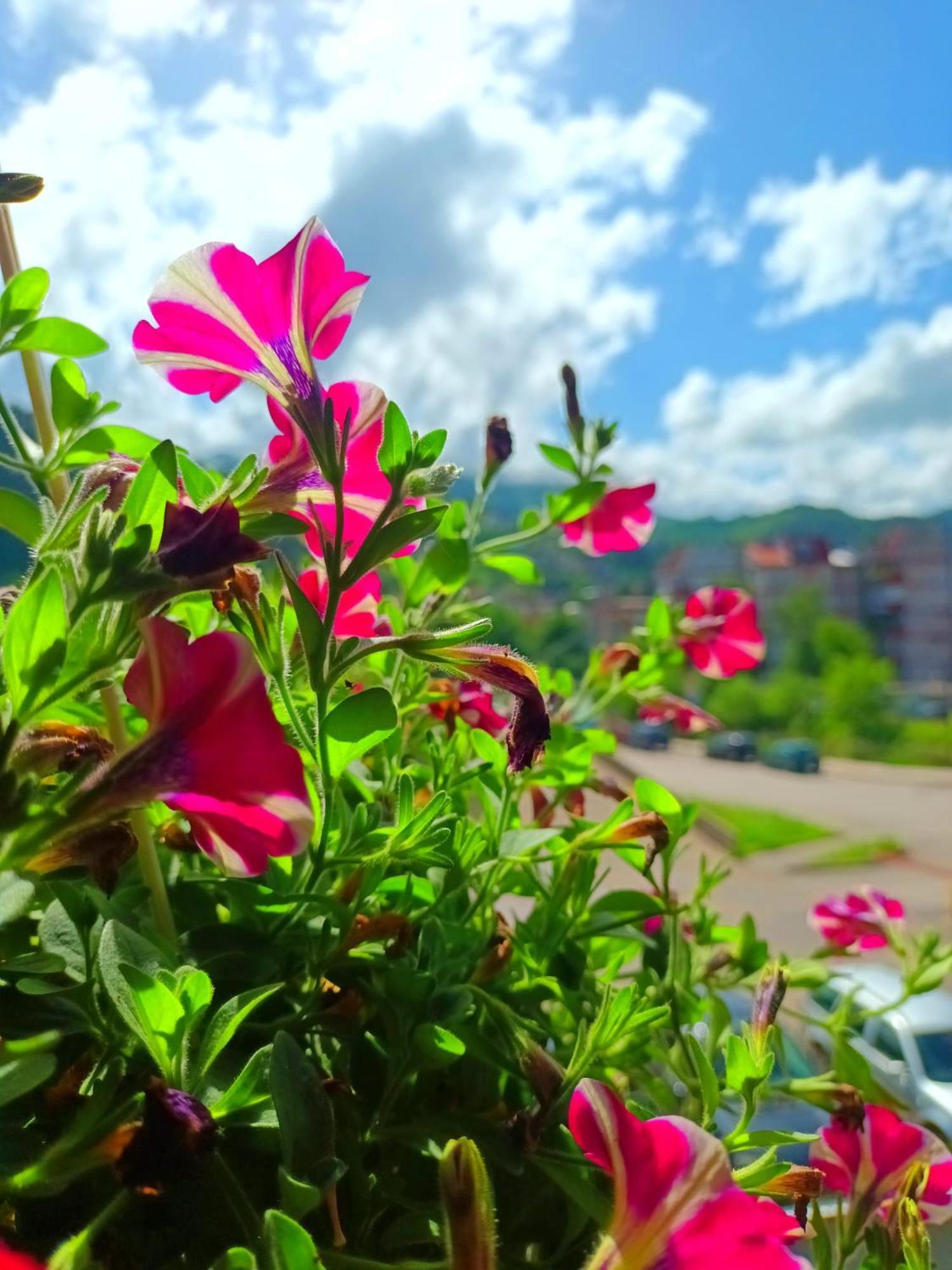 Spacious And Modern Apartment In Town Center Konjic Exterior foto